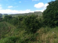 área de terras Boa Vista - Teutônia - RS