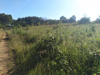 ÁREA DE TERRAS Canabarro - Teutônia - RS