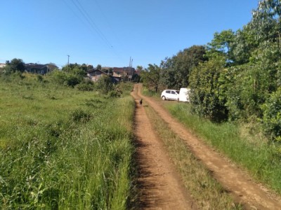 ÁREA DE TERRAS Canabarro - Teutônia - RS