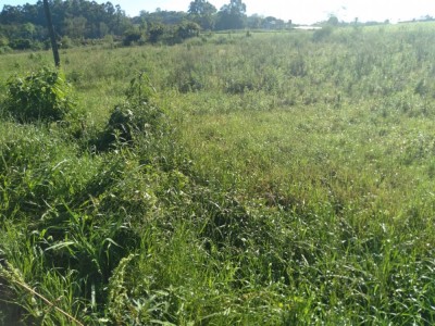 ÁREA DE TERRAS Canabarro - Teutônia - RS