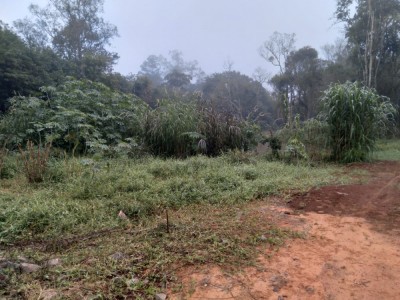 área de terras Canabarro - Teutônia - RS