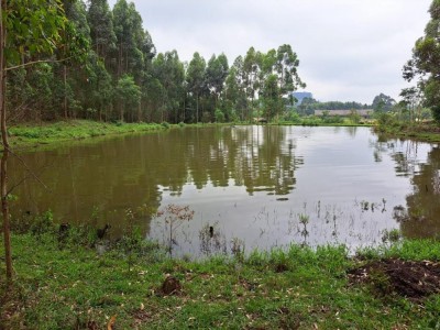 ÁREA DE TERRAS Linha São João Salvador do Sul