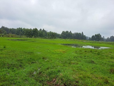 ÁREA DE TERRAS Linha São João Salvador do Sul