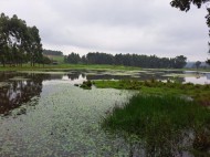 ÁREA DE TERRAS Linha São João Salvador do Sul