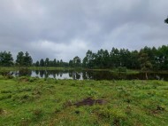 ÁREA DE TERRAS Linha São João Salvador do Sul