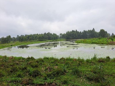 ÁREA DE TERRAS Linha São João Salvador do Sul