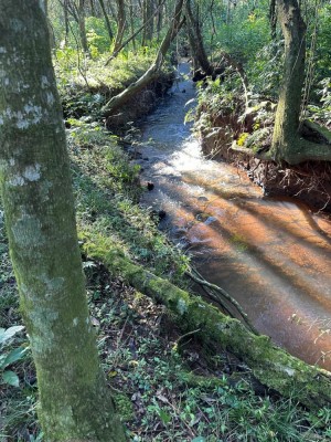 área de terras São Jacó - Teutônia - RS