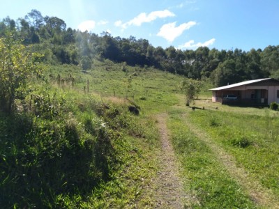 CHACARA COM CASA Paverama - RS