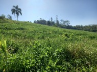 Chácara Morro Azul - Paverama