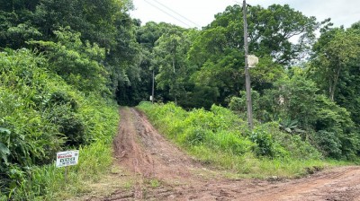 Terreno Linha Catarina - Teutônia